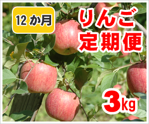 りんご定期便【12か月】