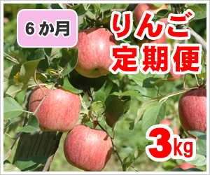 りんご定期便【3㎏】