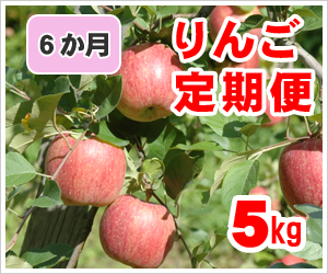 りんご定期便【6か月】