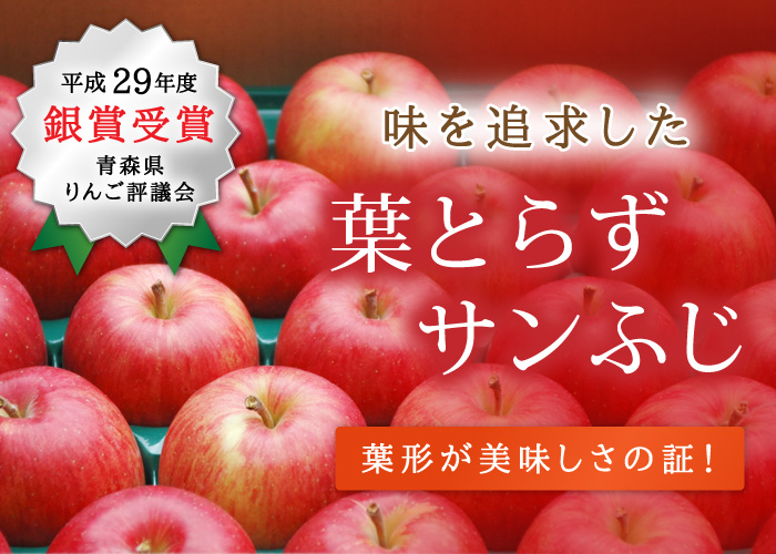 葉とらずサンふじ 青森りんご産地直送 大湯ファーム