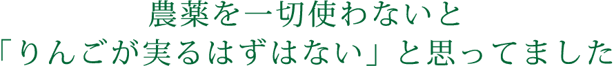 5年目で、技術が安定してきました！