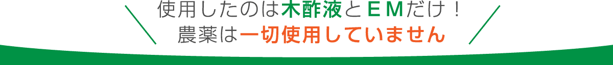 使用したのは木酢液とＥＭだけ！農薬は一切使用していません