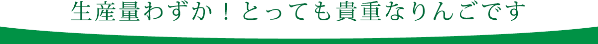 生産量わずか！とっても貴重なりんごです