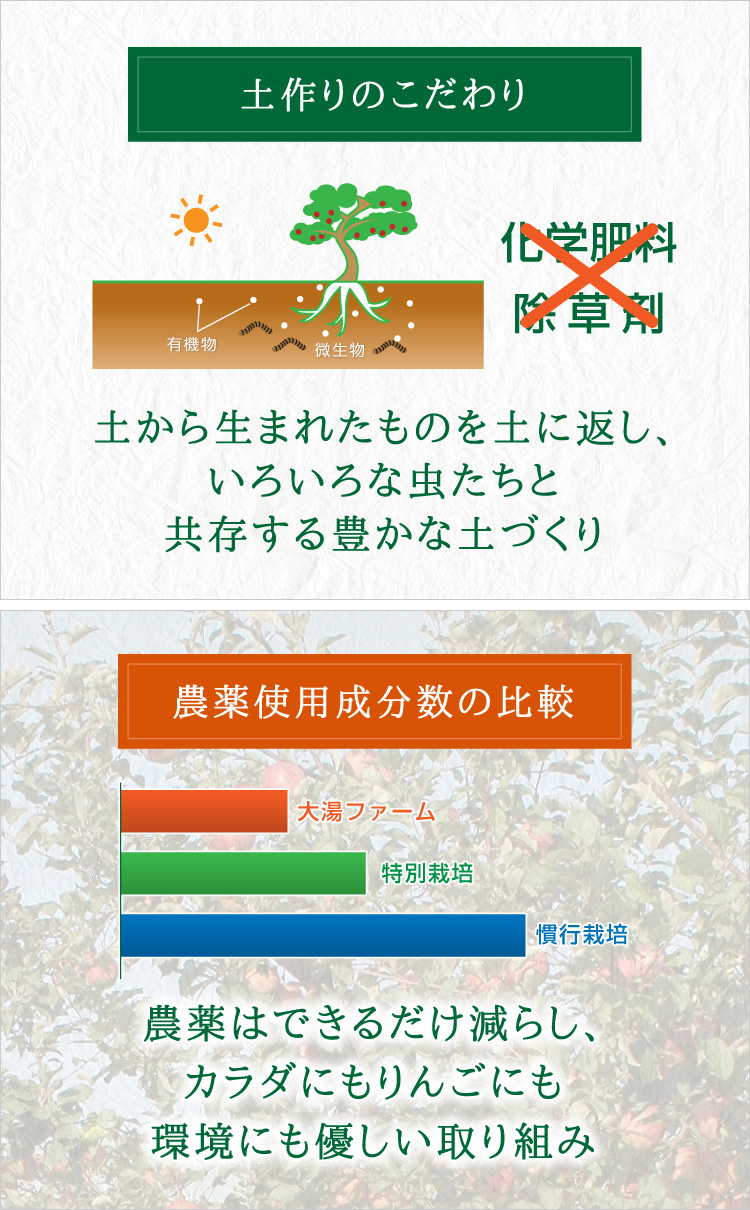 おためしセット | 青森りんご産地直送 大湯ファーム おためしセット | 青森りんご産地直送 大湯ファーム