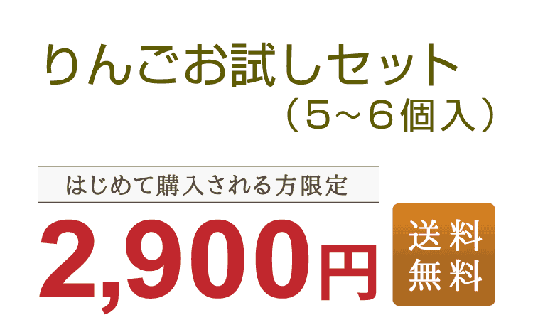 りんごお試しセット（5～6個入）