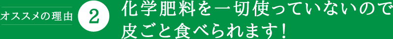 化学肥料を一切使っていないので皮ごと食べられます！