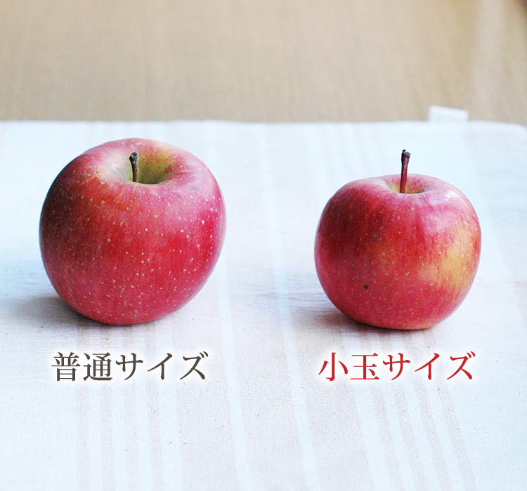 葉とらずサンふじ【Sサイズ】 青森りんご産地直送 大湯ファーム