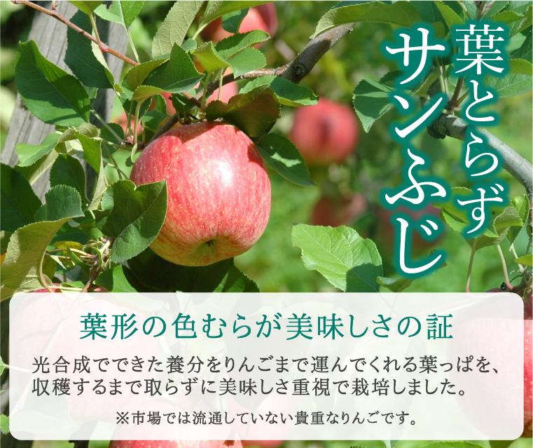 葉とらずサンふじ