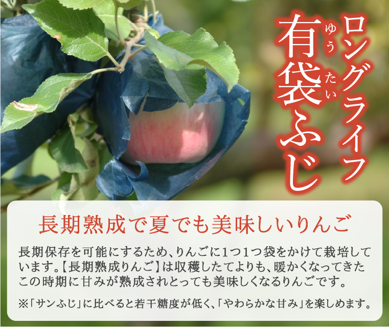 有袋ふじ