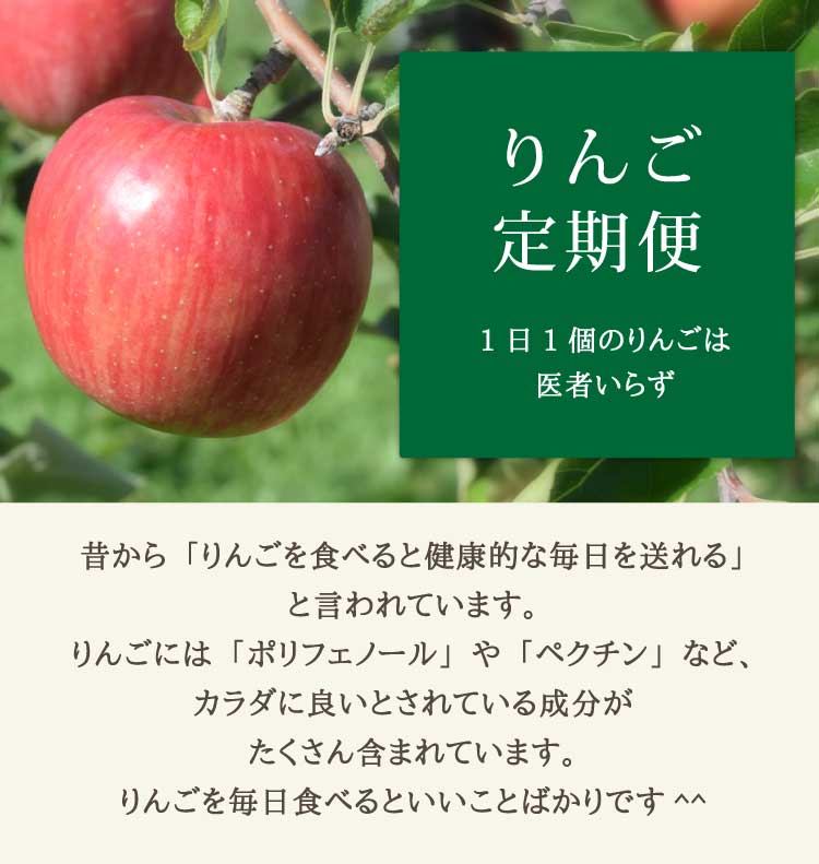 りんご定期便 青森りんご産地直送 大湯ファーム