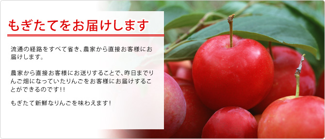 もぎたてをお届けします