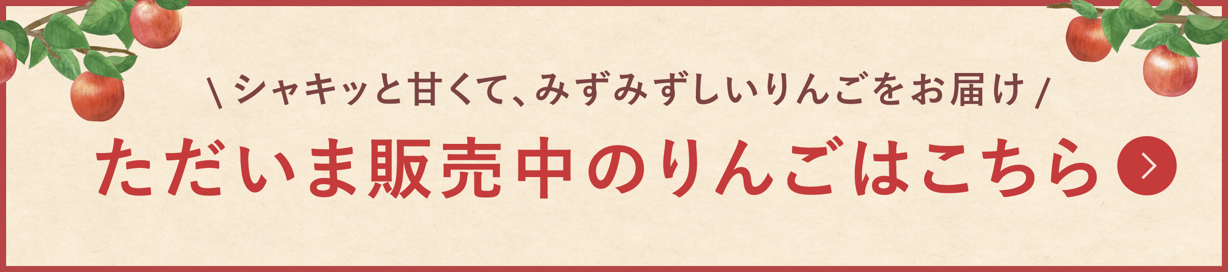 シャキッと甘くて、みずみずしいりんごをお届け ただいま販売中のりんごはこちら
