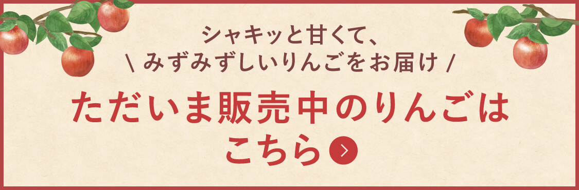 シャキッと甘くて、みずみずしいりんごをお届け ただいま販売中のりんごはこちら