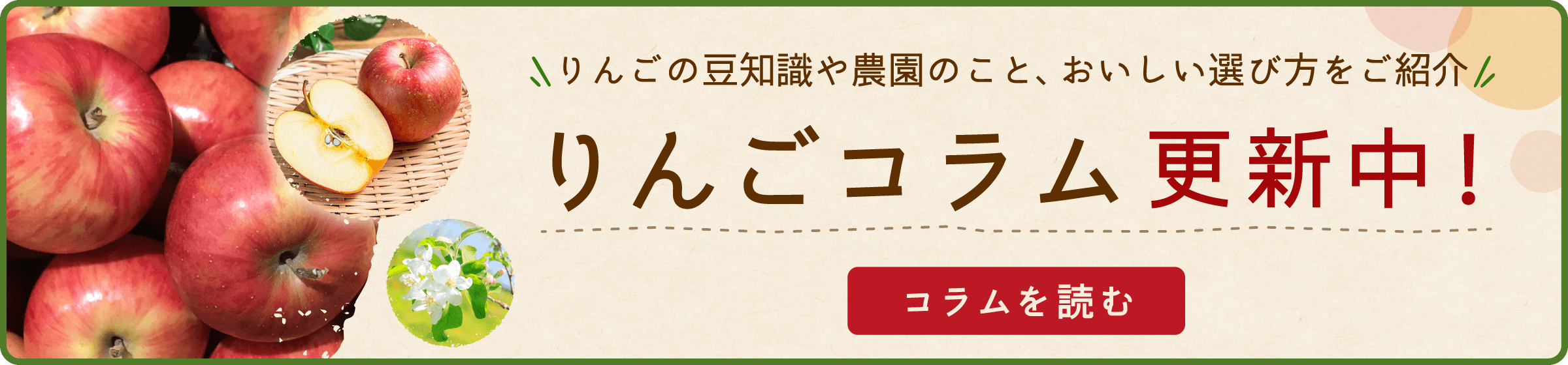 りんごの豆知識や農園のこと、おいしい選び方をご紹介　りんごコラム更新中